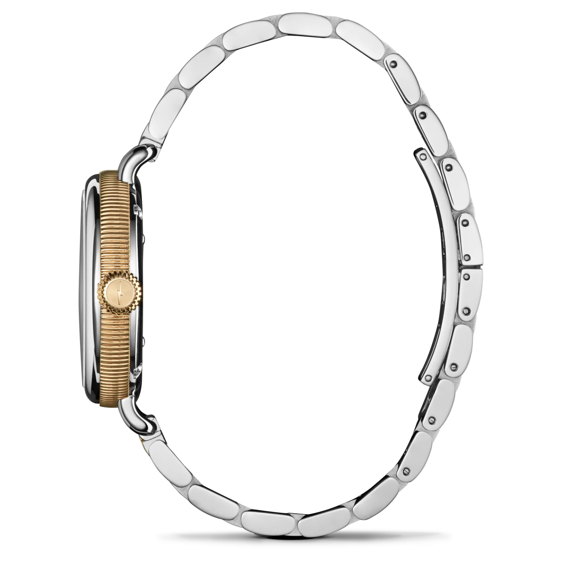 Shinola Birdy Watch Petoskey