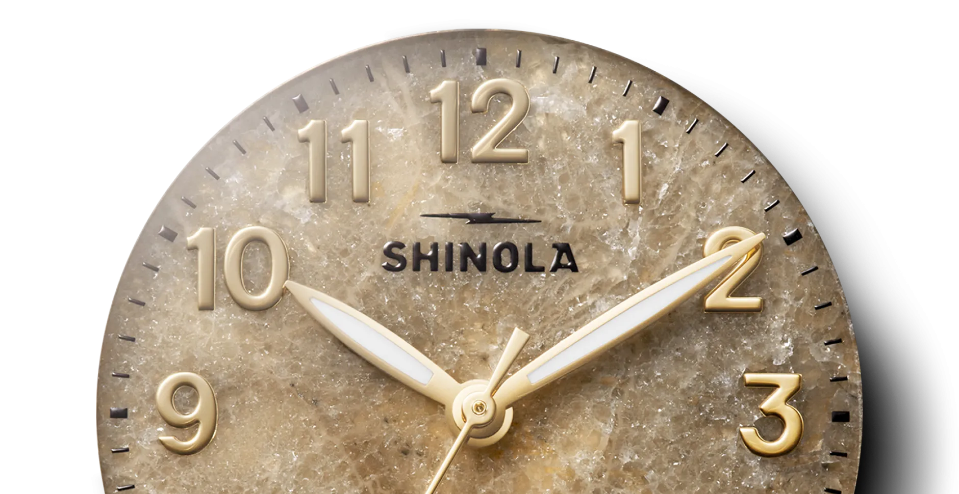 Shinola Birdy Watch Petoskey