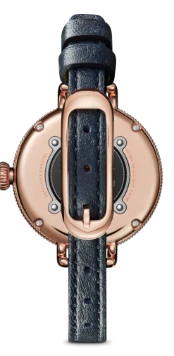 Hot Shinola Birdy Watch