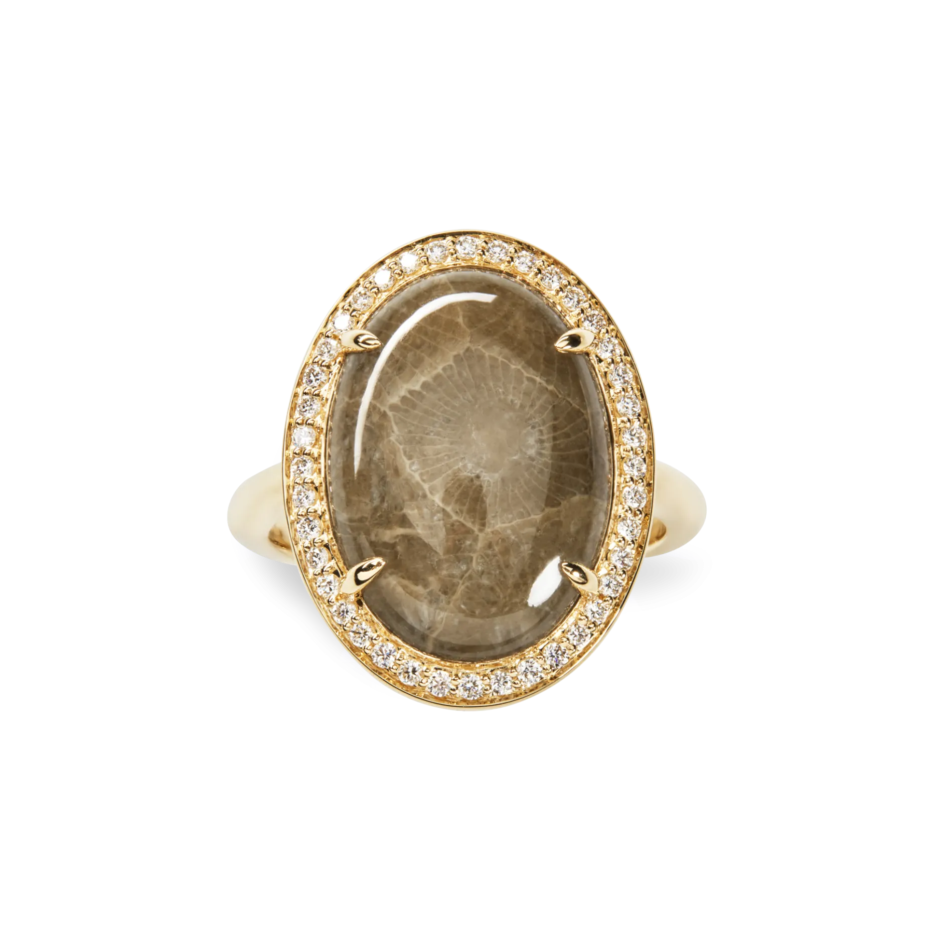 Best Shinola Diamond Pave Oval Petoskey Ring
