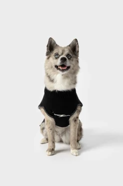 Clearance Shinola Dog Sweater Black