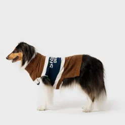 Discount Shinola Dog Sweater Brand Stripe / Tan