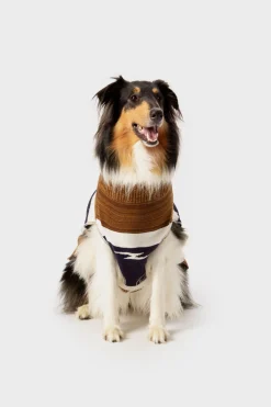Discount Shinola Dog Sweater Brand Stripe / Tan