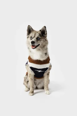 Discount Shinola Dog Sweater Brand Stripe / Tan