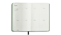 Discount Shinola 2026 12 Month Runwell Planner Fern