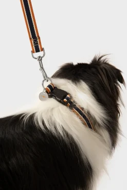 New Shinola Nylon Dog Leash