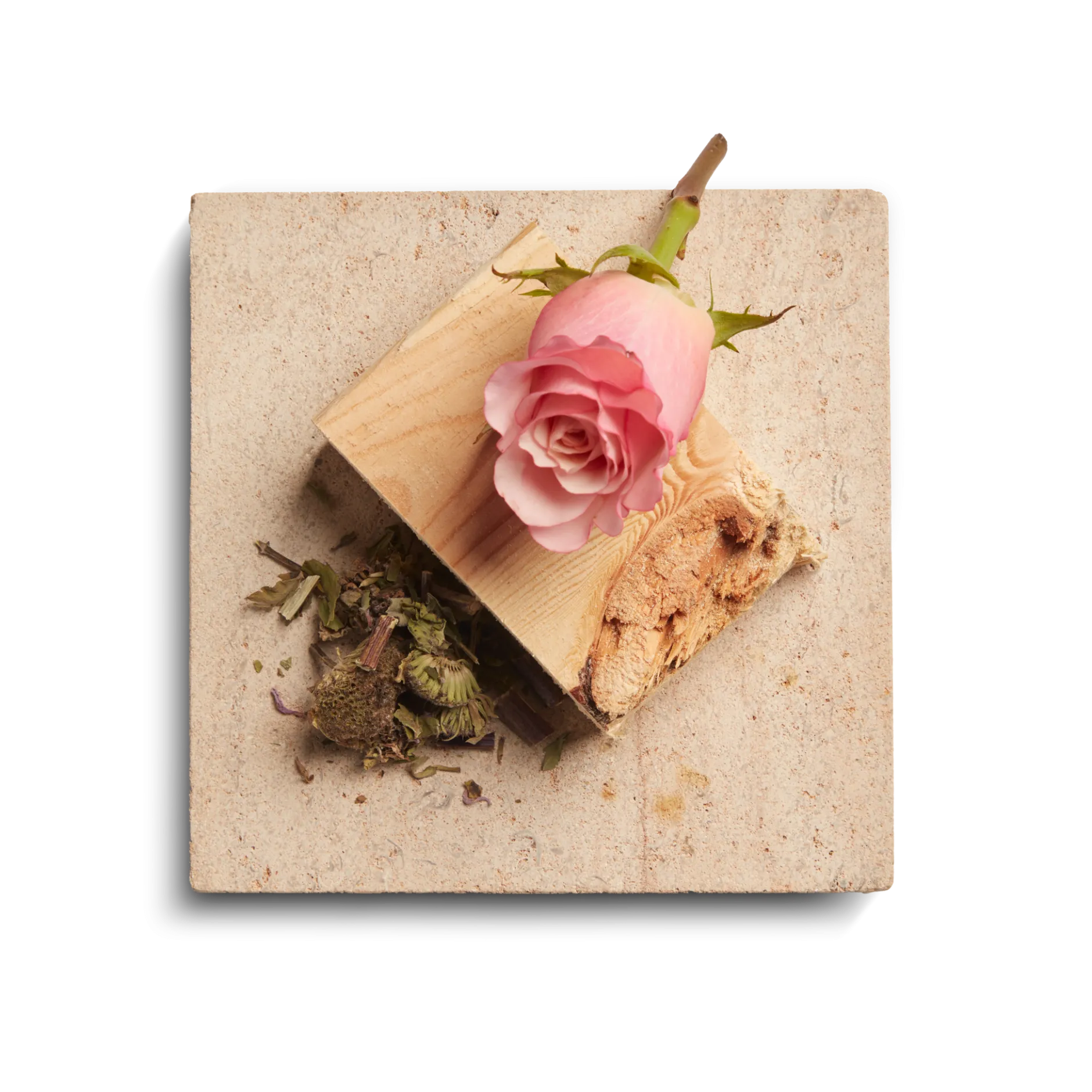 Clearance Shinola Rose 8 oz Scented Candle